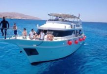 Red Sea Cruise Snorkeling to Tiran Island or Ras Mohammed
